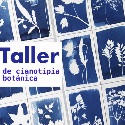 Taller de Cianotipia